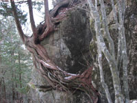 物見岩