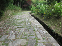 ȃ