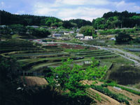 cIc