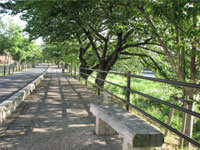 炳̂ۂ݂