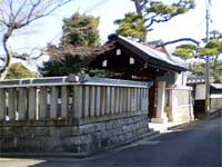Y뉀